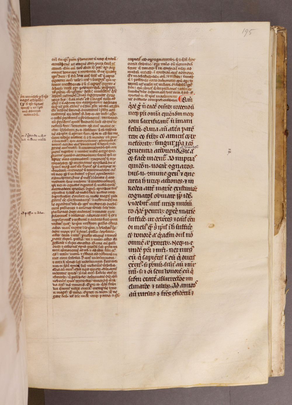 Folio 195 recto